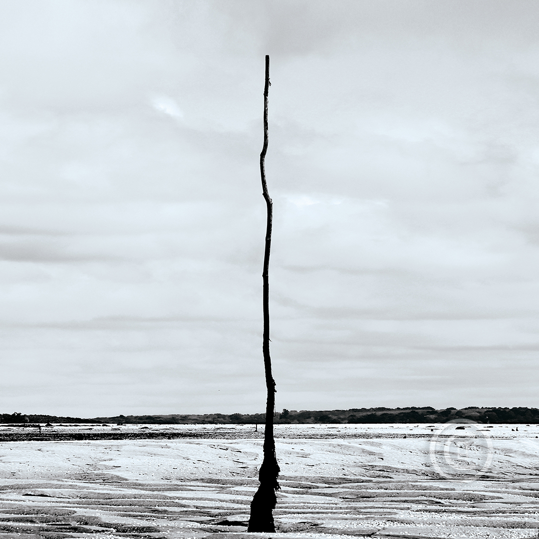 REPÈRE DU TRAICT Photos d'art : Fichiers numériques, affiches et tirages d'art