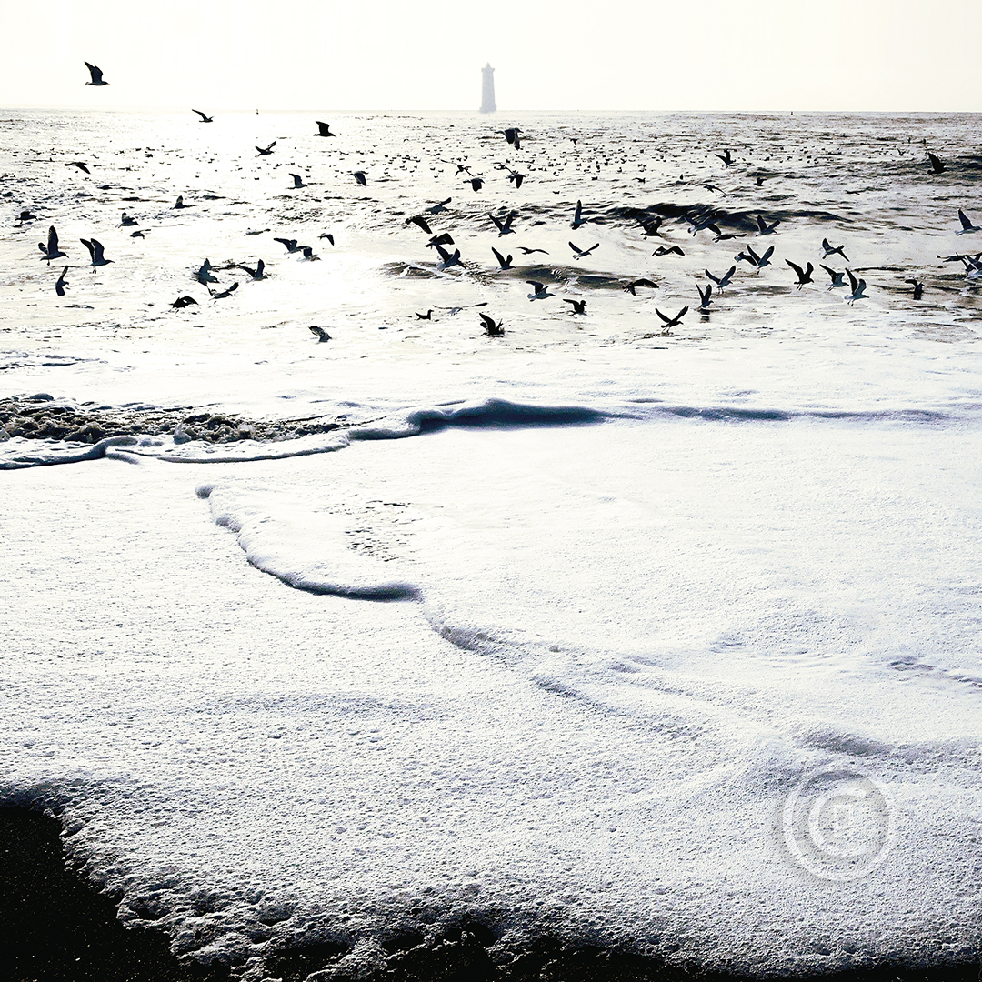 MATIN IODÉ Photos d'art : Fichiers numériques, affiches et tirages d'art