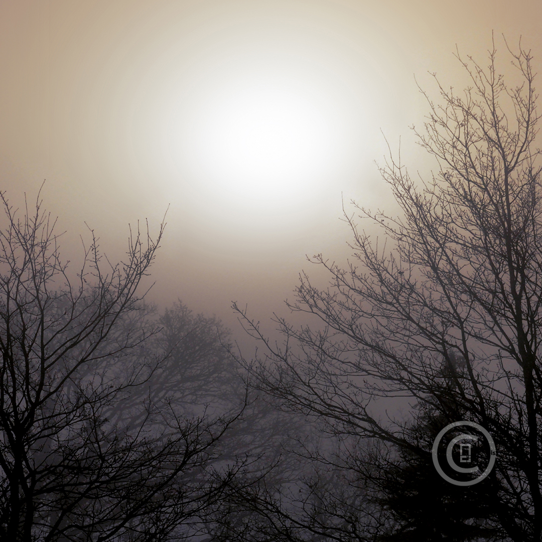 MARIAGE LUNE-SOLEIL Photos d'art : Fichiers numériques, affiches et tirages d'art