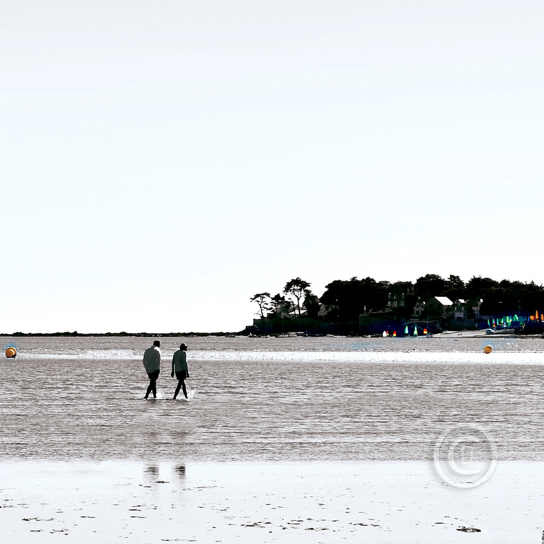 Photos d'art : Fichiers numériques, affiches et tirages d'art