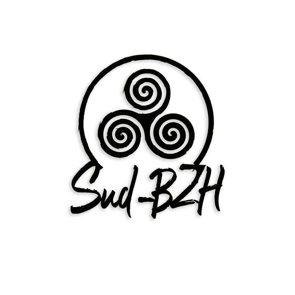 Création logo SUD-BZH