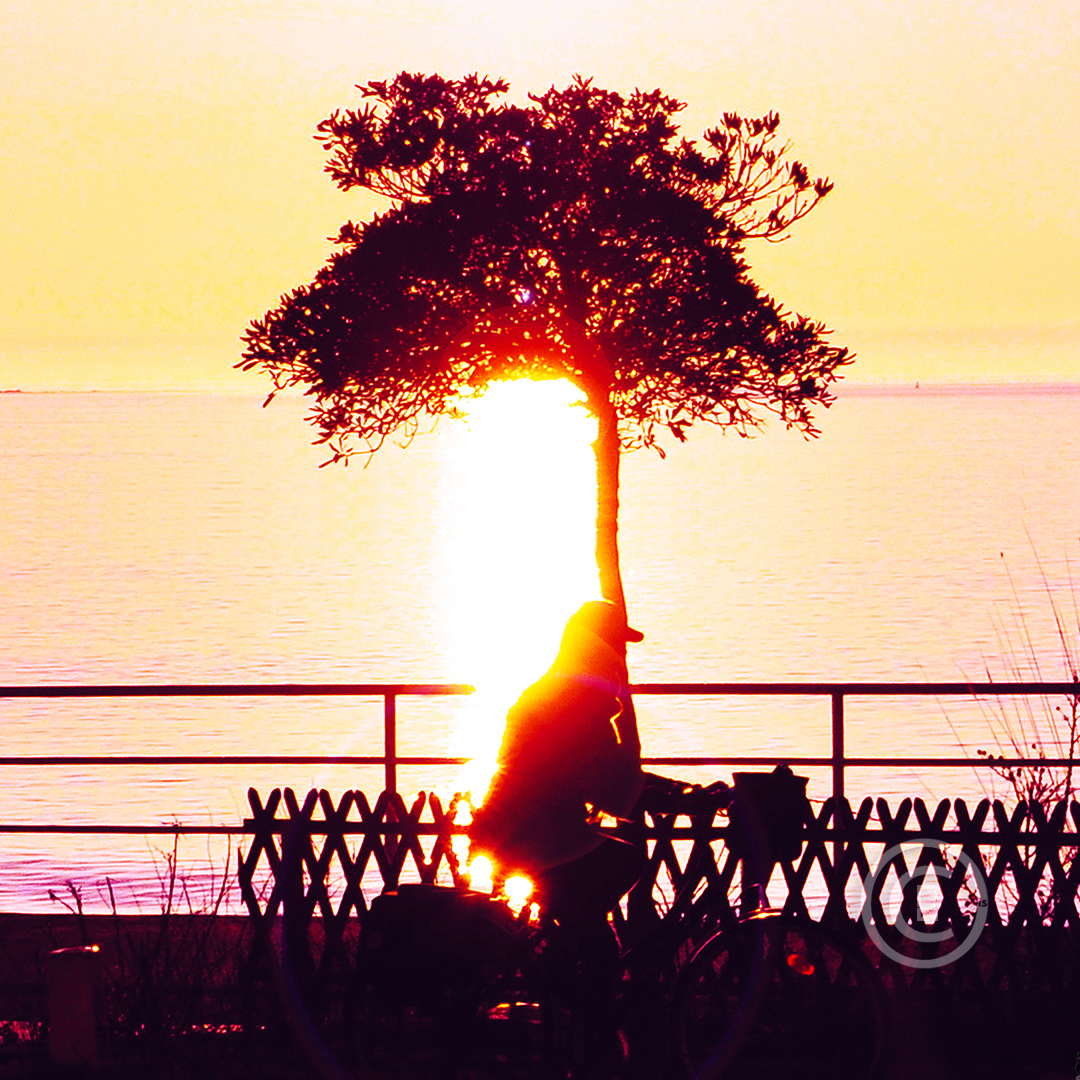 Photos d'art : Fichiers numériques, affiches et tirages d'art C