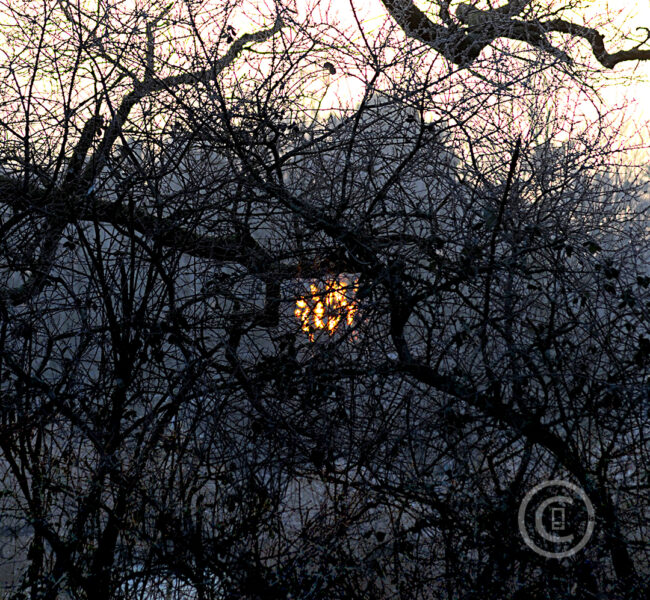 ALCHIMIE MORBIHANNAISE Photos d'art : Fichiers numériques, affiches et tirages d'art