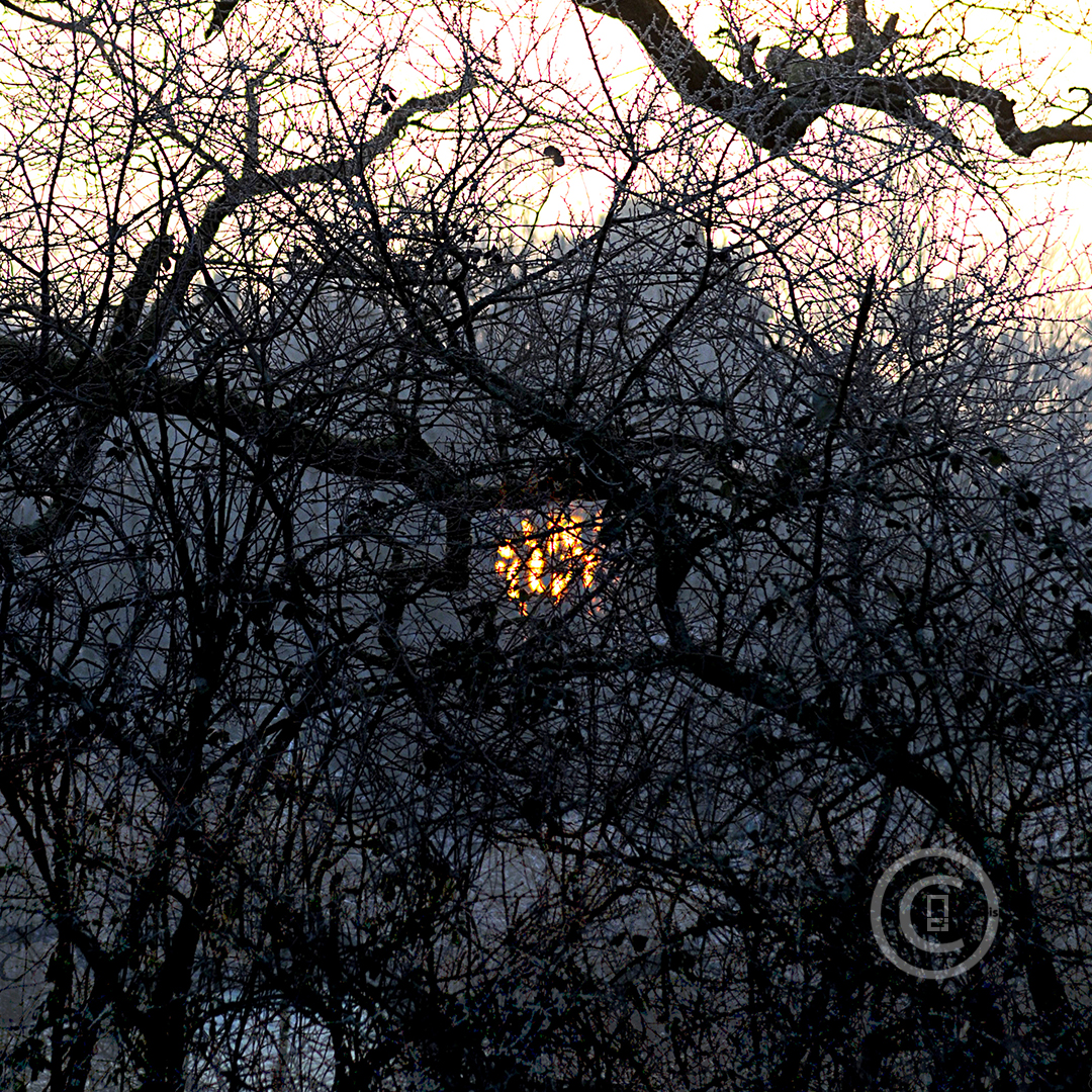 ALCHIMIE MORBIHANNAISE Photos d'art : Fichiers numériques, affiches et tirages d'art