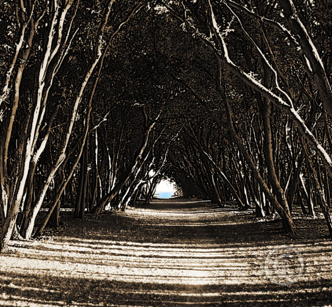 PEN-AVEL - LE CROISIC Photos d'art : Fichiers numériques, affiches et tirages d'art