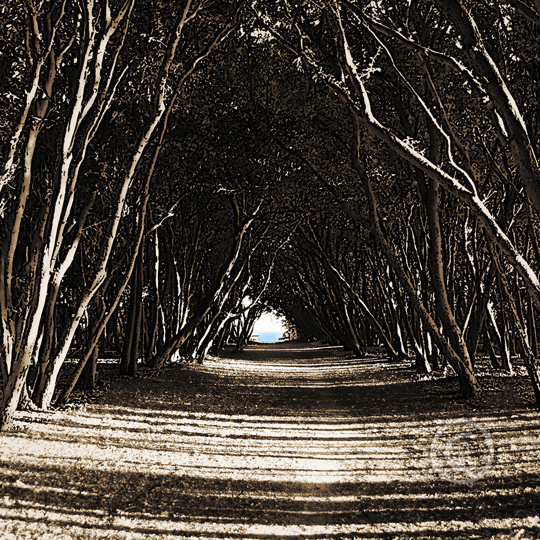 PEN-AVEL - LE CROISIC Photos d'art : Fichiers numériques, affiches et tirages d'art